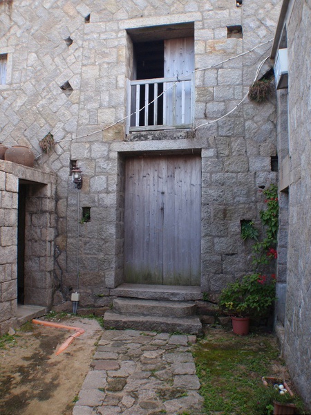 PB260765-800.jpg
