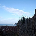 PB260783-800.jpg