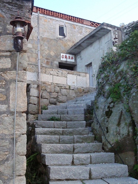 PB260786-800.jpg