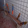 PB260798-800.jpg
