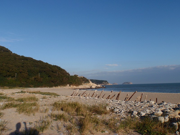 PB260805-800.jpg