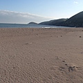 PB260806-800.jpg