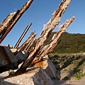 PB260808-800.jpg