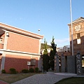 PB260815-800.jpg
