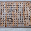 PB260830-800.jpg