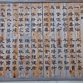 PB260831-800.jpg