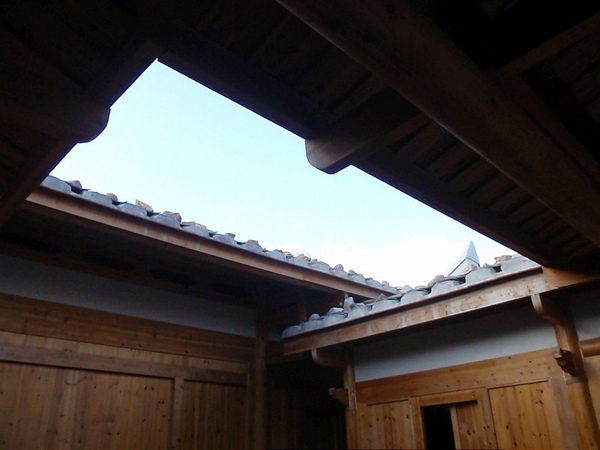 PB260838-800.jpg