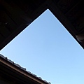 PB260839-800.jpg