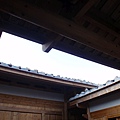 PB260840-800.jpg