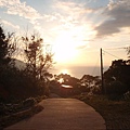 PB260858-800.jpg
