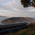 PB260862-800.jpg