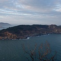 PB260865-800.jpg