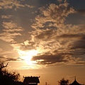 PB260867-800.jpg