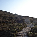 DSC08205.JPG