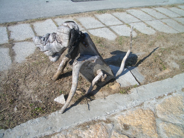 CIMG0479.JPG