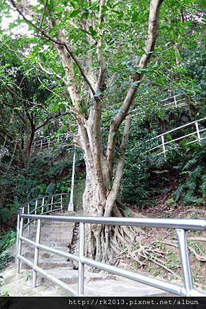 白鷺鷥山親山步道003.jpg