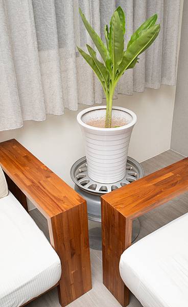 _RLZ3446.jpg _RLZ3446.jpg