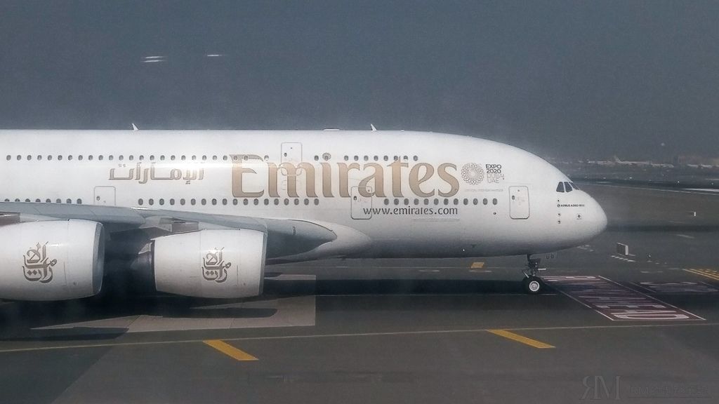 IMAG5648.jpg IMAG5648.jpg