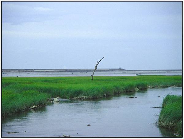 小河出海口