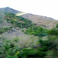 20110218431.jpg