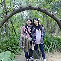 20110218388.jpg