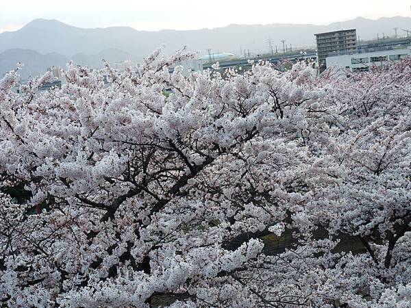 DSCF6575 DSCF6575