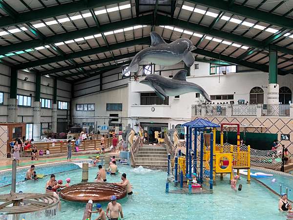 台南歸仁 新嘉年華溫水spa游泳俱樂部專為兒童設計的游泳池還有漂漂河及滑水道大小朋友玩的超開心 暴政必網