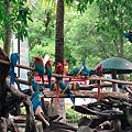 BKK zoo_190926_0034.jpg