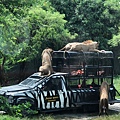 BKK zoo_190926_0043.jpg