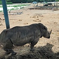 BKK zoo_190926_0048.jpg