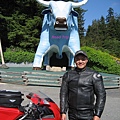 Blue OX at Tree of Mystery.jpg