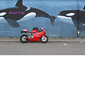 Duc with Killer Whale Mural 1.jpg