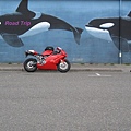 Duc with Killer Whale Mural.jpg