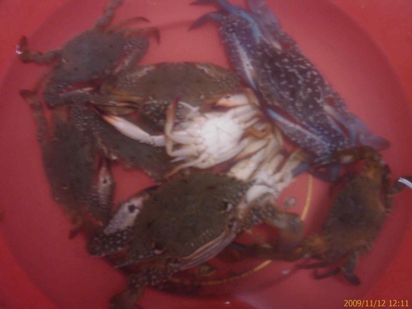 IMAG0445.jpg IMAG0445.jpg