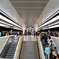 IMG_5778.jpg