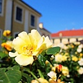 IMG_5780.jpg