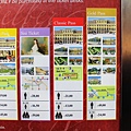 IMG_5785.jpg