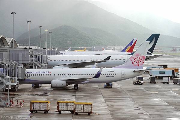 DSC06950.jpg DSC06950.jpg