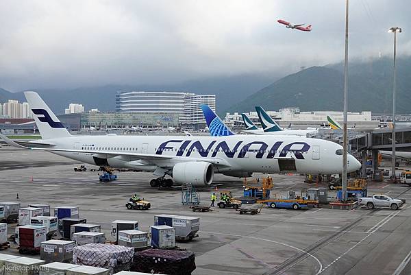 DSC06958.jpg DSC06958.jpg