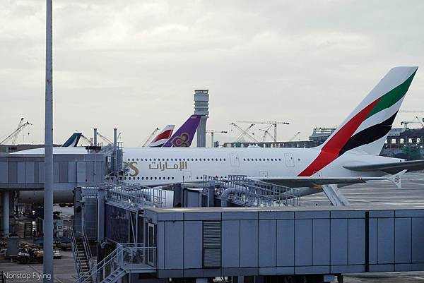 DSC06964.jpg DSC06964.jpg