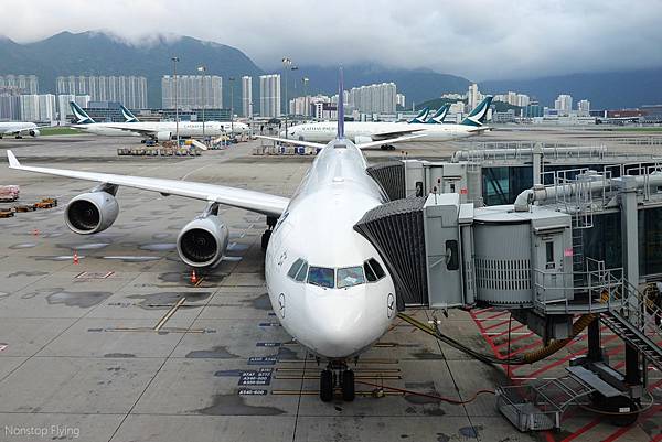 DSC06969.jpg DSC06969.jpg