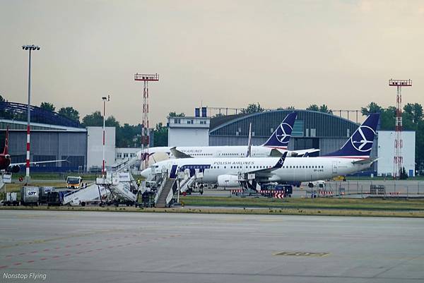 DSC06488.jpg DSC06488.jpg