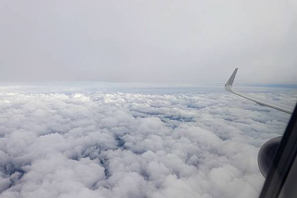 DSC06520.jpg DSC06520.jpg