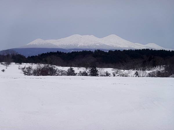 DSC01981.jpg DSC01981.jpg