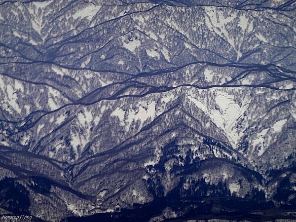 DSC02024.jpg DSC02024.jpg