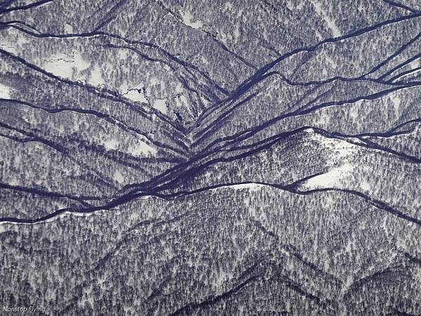 DSC02032.jpg DSC02032.jpg