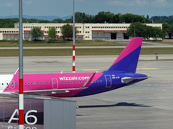 DSC06394.jpg DSC06394.jpg