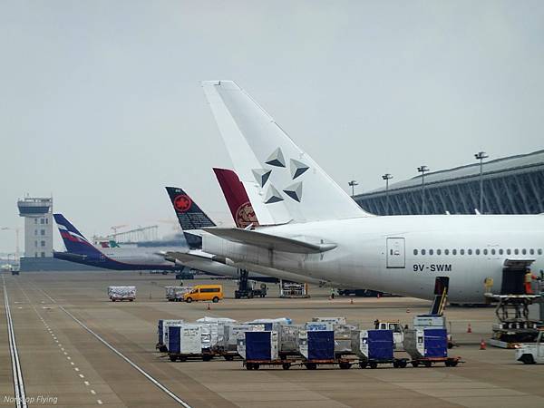 DSC08006.jpg DSC08006.jpg