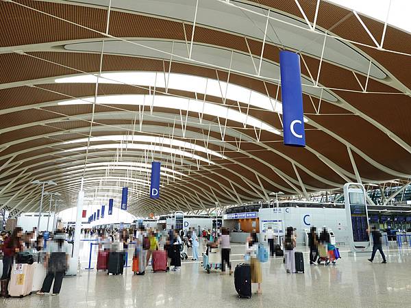 DSC07881.jpg DSC07881.jpg