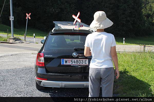 IMG_7388.JPG IMG_7388.JPG